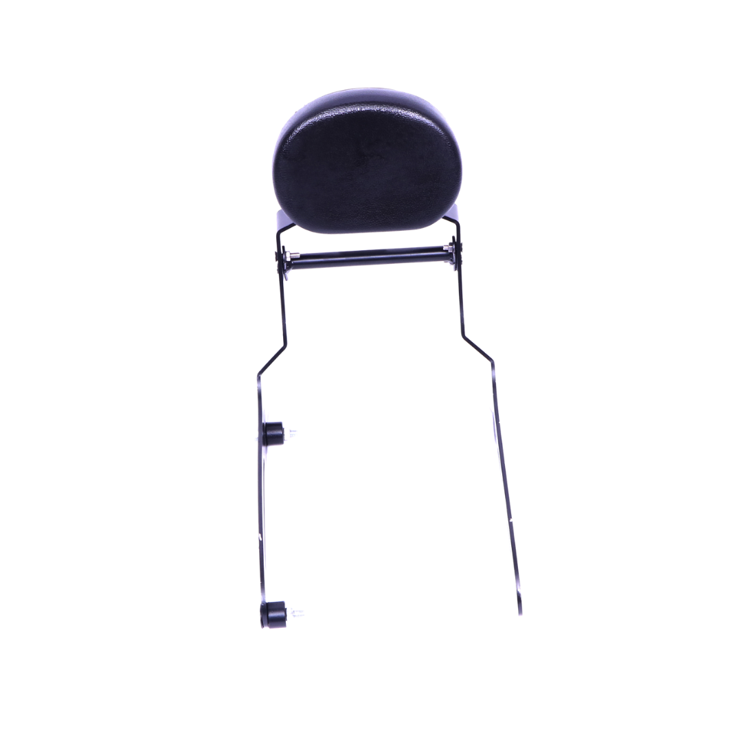 Premium Backrest with Cushion for Super Meteor 650, Shotgun 650, Goan Classic 350, Meteor 350 & Harley X440